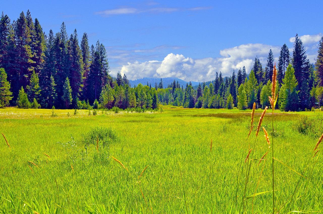 Leavenworth Camping Resort Tiny House Hanna Ngoại thất bức ảnh